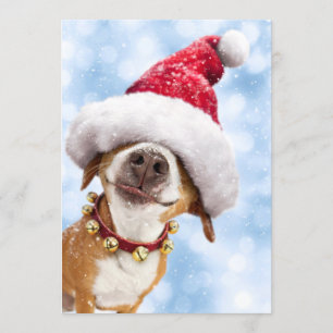 Convites Cachorro Com Chapéu Grande de Papai Noel