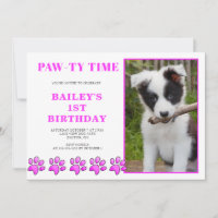 Cachorro Cor-de-rosa-branca, Cachorro do Aniversár