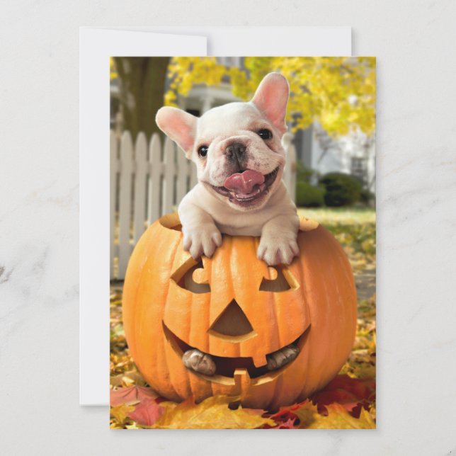 Convites Cachorro em Jack-o-Lanterna (Frente)