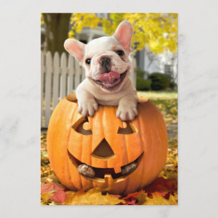 Convites Cachorro em Jack-o-Lanterna