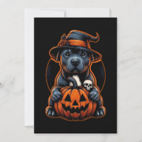 Cachorro Halloween - Bruxa Pitbull