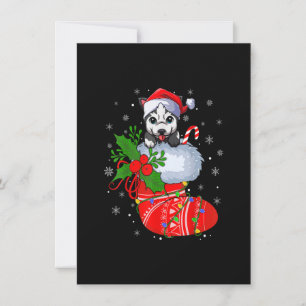 Convites Cachorro Malamute Engraçado No Alasca Em Meias De 