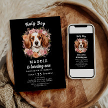 Cachorro Santo, eu sou um! Primeiro aniversario de