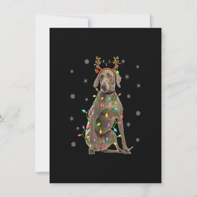 Convites Cachorro Weimaraner Iluminação de Natal Rena Weima (Frente)