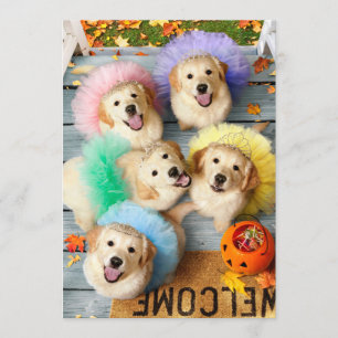 Convites Cachorros Dourados Pedindo Doces ou Travessuras