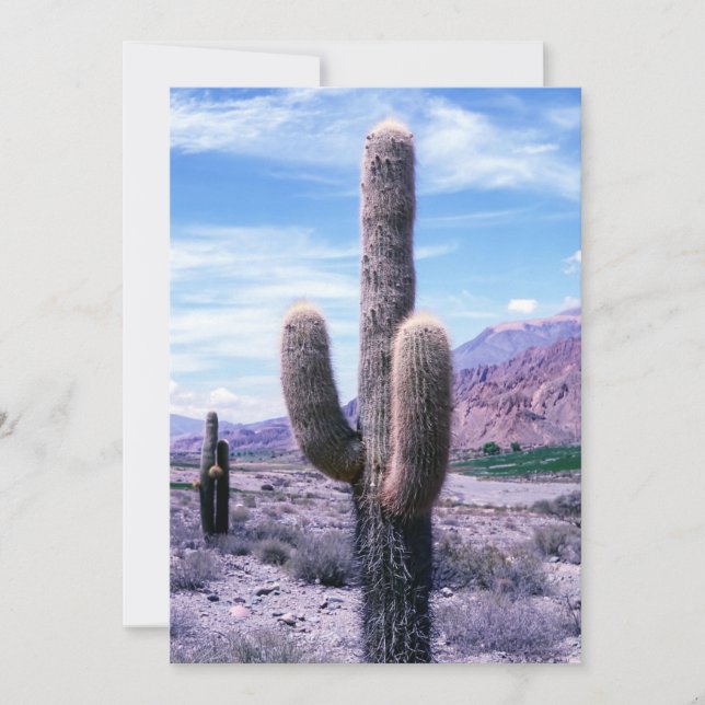 Convites Cactus na província de Jujuy - Argentina Norte (Frente)