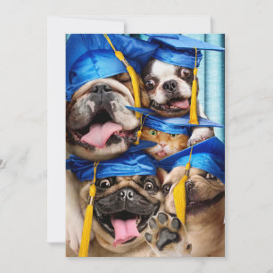 Convites Cães e Gatos Formandos em Cabine de Fotos