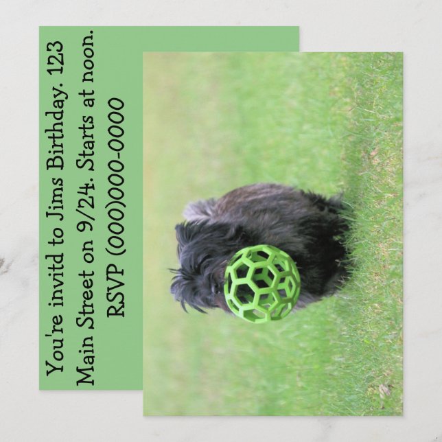 Convites Cairn terrier (Frente/Verso)