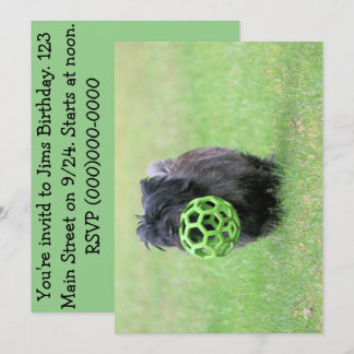 Convites Cairn terrier