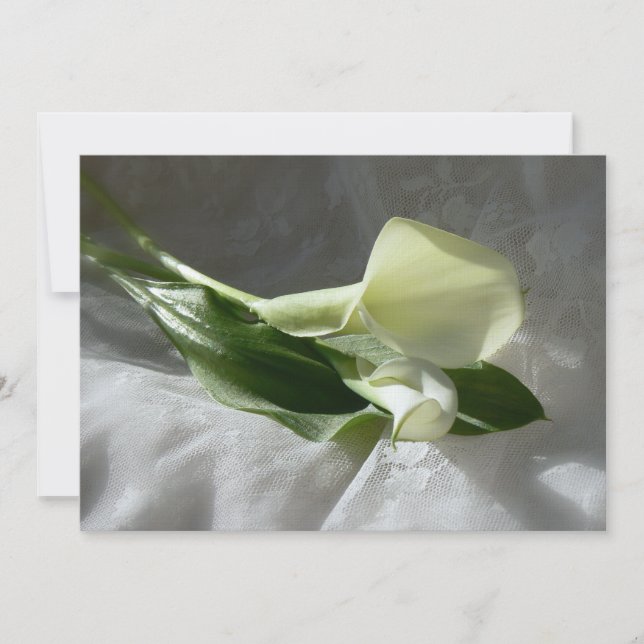 Convites Calla Lily no Casamento Branco (Frente)