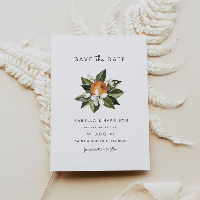 Convites Calliope - Watercolor Orange Blossoms (Blossomo La (Criador carregado)