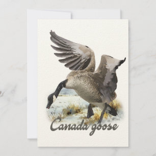 Convites Canadá Goose, Arte