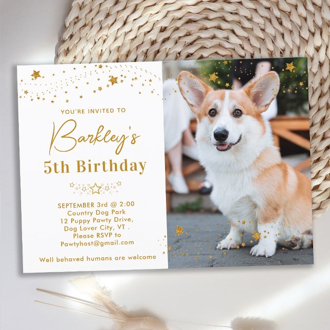 Convites Cão de Fotos Personalizado de Pet de Aniversário d (Criador carregado)