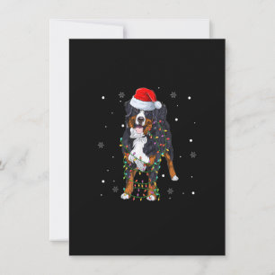 Convites Cão de Montanha Bernês de Natal Árvore de Luz Aleg