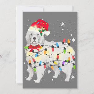 Convites Cão Great Pyrenees Luz de Natal Xmas Mãe Pai