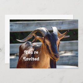 Convites Capat Black Brown Horns Animal Photo Birthday