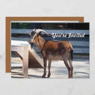 Convites Capim Black Brown Horns Animal Perfil Birday