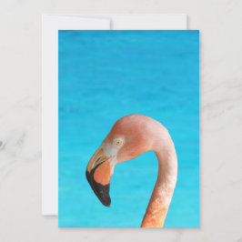 Convites Cara flamingo rosa contra água azul em