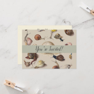 Convites Caracóis de Gastropodo de Pet de Slug de Jardim da