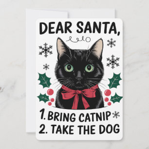 Convites Caro Papai Noel Traga Catnip Leve o Cão Natal