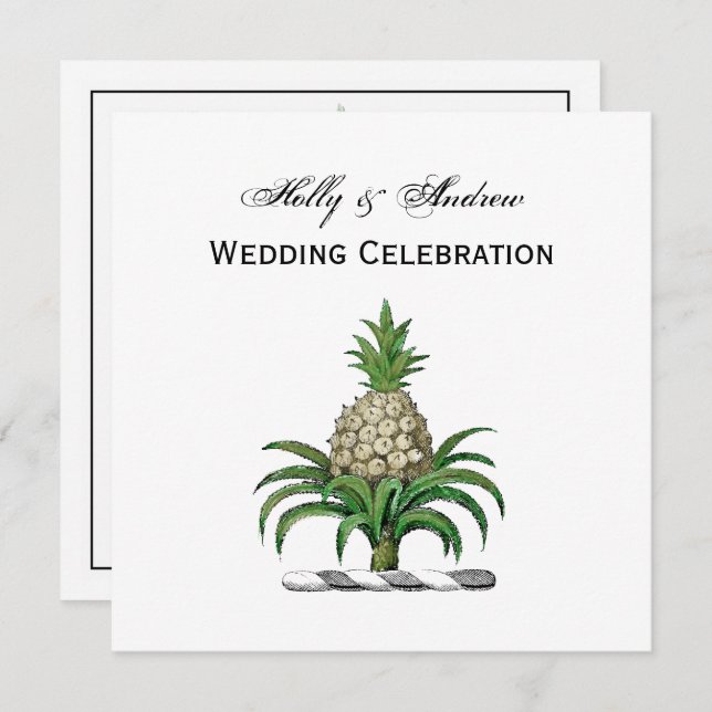 Convites Casaco de Ananás Herádico de Pré-Papoeira (Frente/Verso)