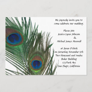 Convites Casamento branco bonito do pavão