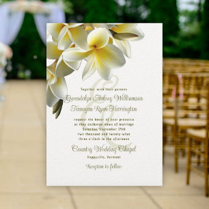 Convites Casamento Branco das Flores Frangipani