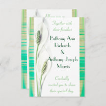 Casamento branco e verde do lírio de Calla