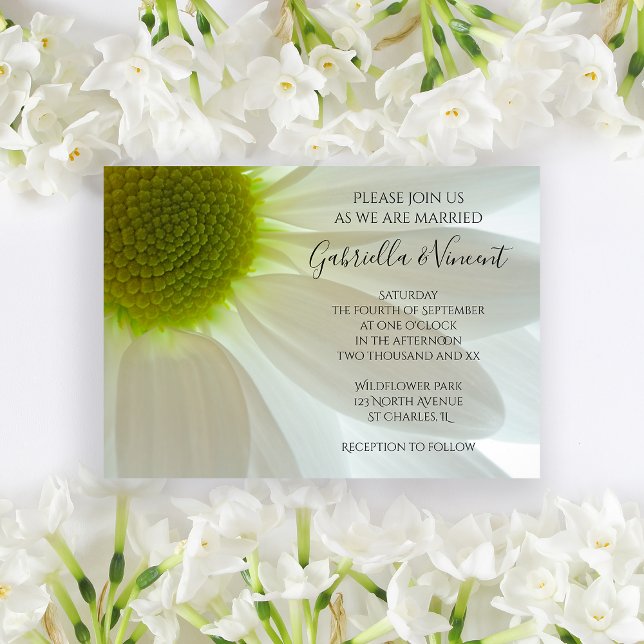 Convites Casamento com Petais de Flores Brancas (Invite guests to your summer marriage ceremony with the pretty White Daisy Petals Wedding Invitation)