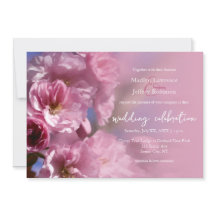 casamento da primavera floresce de cerejeira rosa