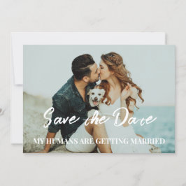 Convites Casamento de cães salve o orçamento da data