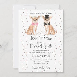 Convites Casamento de Chhuahua Dog Bride Groom