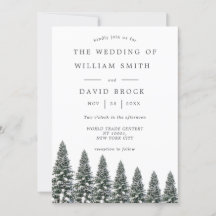 Casamento de flocos de neve da Wonderland Winter