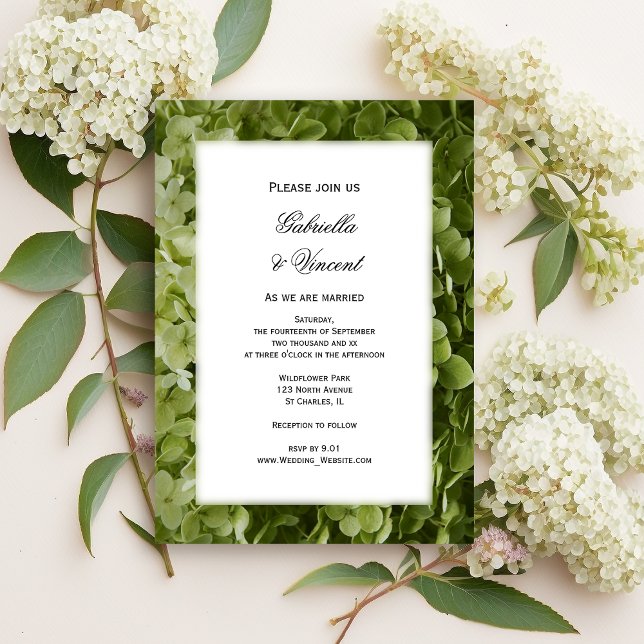 Convites Casamento de Flores de Annabelle Hydrangea Green (Criador carregado)
