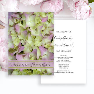Convites Casamento de Flores de Hidrangea Quase Rosa