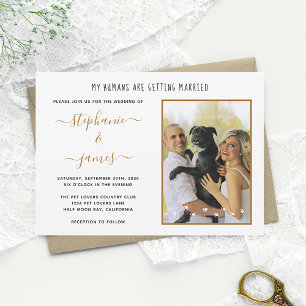 Convites Casamento de Foto Pet com Meus Humanos