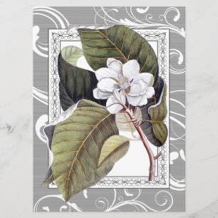 Convites Casamento de Magnolia Southern Belle