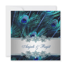 Casamento de Pavão Azul Real e Prata Azul Real
