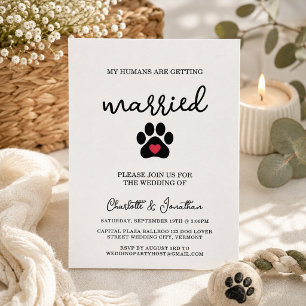 Convites Casamento de Pet do Cão de Foto Moderno Simples