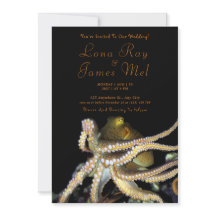 Casamento de praia em polvo oceânico profundo