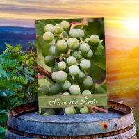 Casamento de Vinha de Uvas Verdes Salvar a Data