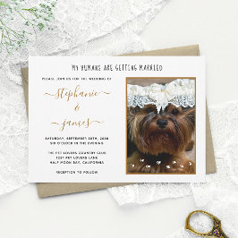 Convites Casamento dos Humanos Foto Personalizada de Pet Ca