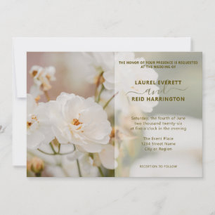 Convites Casamento Elegante De Dreamy White Rose Foto Vinta