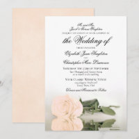 Casamento Formal Elegante Laranja Pálido ou Rosa d