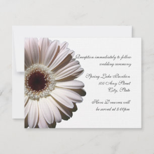 Convites Casamento Gerber Daisy