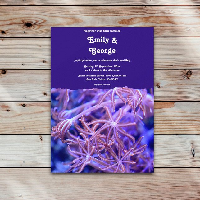 Convites Casamento marítimo costeiro náutico dos recifes de (Criador carregado)