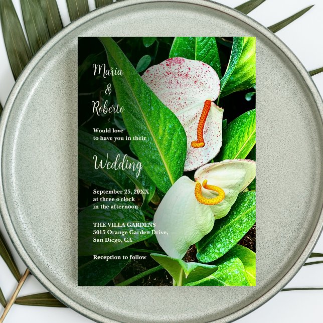 Convites Casamento Mexicano Floral White Cala Lily (Criador carregado)