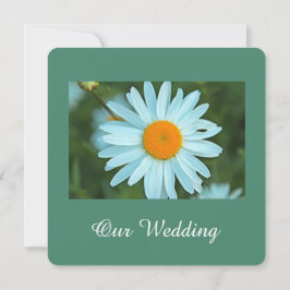 Convites Casamento puro, lindo de margarida branca