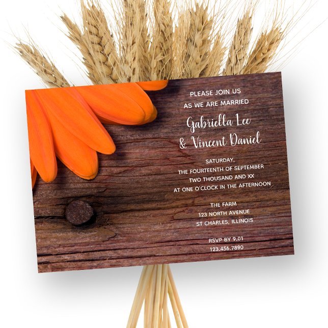 Convites Casamento Rustic Orange Daisy and Barn Wood Countr (Criador carregado)