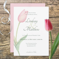 Casamento Solo Tulip Rosa